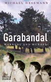 Garabandal (eBook, ePUB)