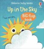 Up in the Sky Up in the Sky