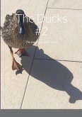 The Ducks #2