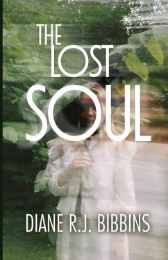 The Lost Soul - Bibbins, Diane R. J.