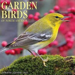 Garden Birds 2023 Wall Calendar - Willow Creek Press