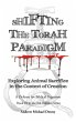 Shifting the Torah Paradigm - Bild 1