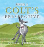 From a Colt's Perspective From a Colt's Perspective