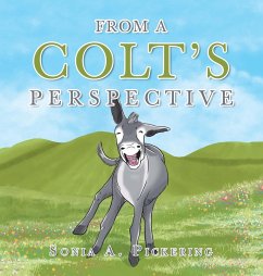 From a Colt's Perspective - Pickering, Sonia A.
