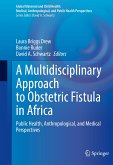 A Multidisciplinary Approach to Obstetric Fistula in Africa (eBook, PDF)