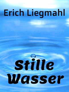 Stille Wasser (eBook, ePUB)