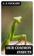 Our Common Insects (eBook, ePUB) - Bild 1