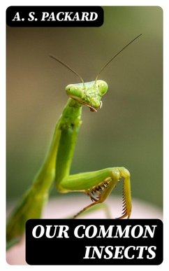 Cover Our Common Insects (eBook, ePUB)
