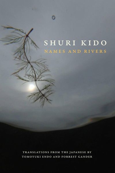 Names and Rivers (eBook, ePUB)