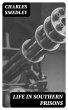 Life in Southern Prisons (eBook, ePUB) - Bild 1