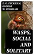 Wasps, Social and Solitary (eBook, ePUB) - Bild 1