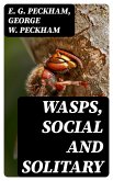 Wasps, Social and Solitary (eBook, ePUB)