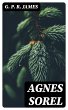 Agnes Sorel (eBook, ePUB) - Bild 1