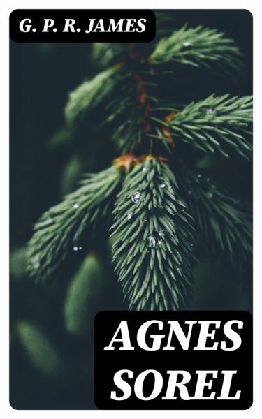 Agnes Sorel (eBook, ePUB)