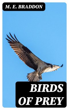 Birds of Prey (eBook, ePUB) - Braddon, M. E.