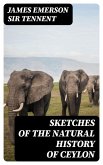 Sketches of the Natural History of Ceylon (eBook, ePUB)