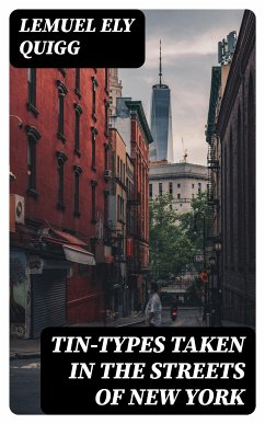 Tin-Types Taken in the Streets of New York (eBook, ePUB) - Quigg, Lemuel Ely