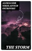 The Storm (eBook, ePUB)