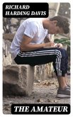 The Amateur (eBook, ePUB)