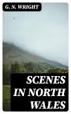 Scenes in North Wales (eBook, ePUB)