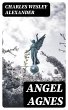 Angel Agnes (eBook, ePUB) - Bild 1