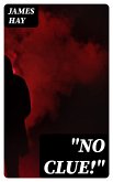 &quote;No Clue!&quote; (eBook, ePUB)