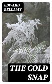 The Cold Snap (eBook, ePUB)