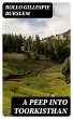 A Peep into Toorkisthan (eBook, ePUB) - Bild 1