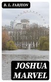 Joshua Marvel (eBook, ePUB)