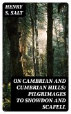 On Cambrian and Cumbrian Hills: Pilgrimages to Snowdon and Scafell (eBook, ePUB)