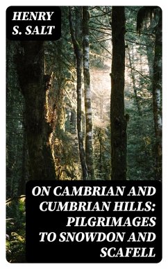 On Cambrian and Cumbrian Hills: Pilgrimages to Snowdon and Scafell (eBook, ePUB) - Salt, Henry S.