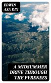 A Midsummer Drive Through the Pyrenees (eBook, ePUB)