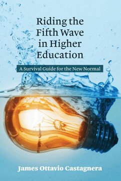 Riding the Fifth Wave in Higher Education (eBook, PDF) - Castagnera, James Ottavio