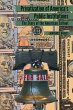 Privatization of America's Public... - Bild 1