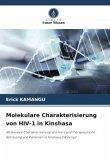 Molekulare Charakterisierung von HIV-1 in Kinshasa