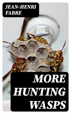 More Hunting Wasps (eBook, ePUB) - Fabre, Jean-Henri