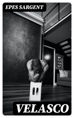 Cover Velasco (eBook, ePUB)