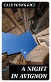 A Night in Avignon (eBook, ePUB)