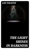 The Light Shines in Darkness (eBook, ePUB)