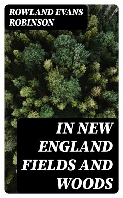 In New England Fields and Woods (eBook, ePUB) - Robinson, Rowland Evans