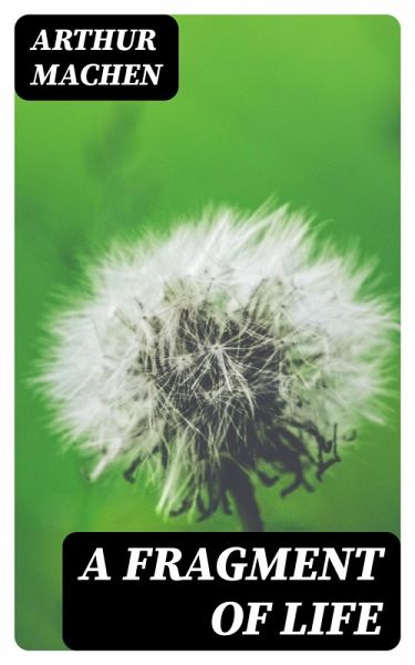 A Fragment of Life (eBook, ePUB) A Fragment of Life (eBook, ePUB)