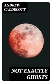 Not Exactly Ghosts (eBook, ePUB)