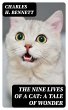 The Nine Lives of A Cat: A Tale of... - Bild 1