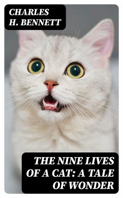 The Nine Lives of A Cat: A Tale of Wonder (eBook, ePUB) - Bennett, Charles H.