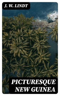 Cover Picturesque New Guinea (eBook, ePUB)