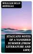 Staccato Notes of a Vanished Summer... - Bild 1