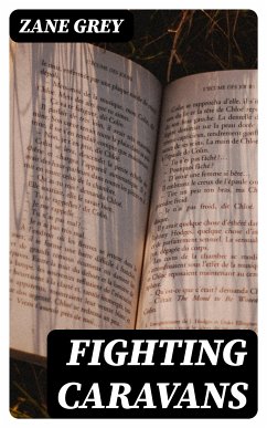 Fighting Caravans (eBook, ePUB) - Grey, Zane