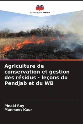 Agriculture de conservation et gestion des résidus - leçons du Pendjab et du WB