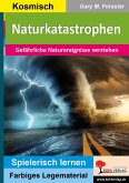 Naturkatastrophen (eBook, PDF)