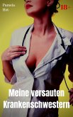 Meine versauten Krankenschwestern (eBook, ePUB)